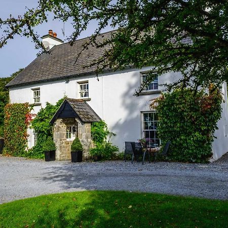 Brooklawn House Bed And Breakfast 莫希尔 外观 照片