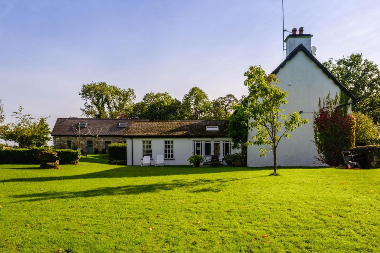 Brooklawn House Bed And Breakfast 莫希尔 外观 照片